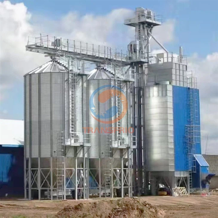 Grain Bin Dryer