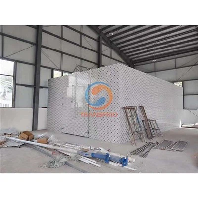 Esistono funzioni di riduzione del rumore per i compressori delle celle frigorifere?