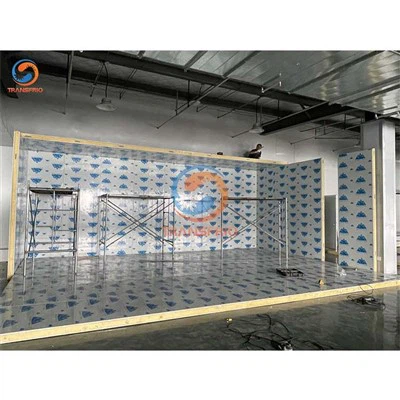 I frigoriferi portatili sono coperti da garanzia?